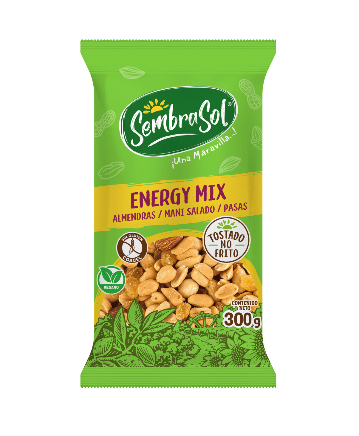 MIX ALMENDRA MANI PASAS  300G
