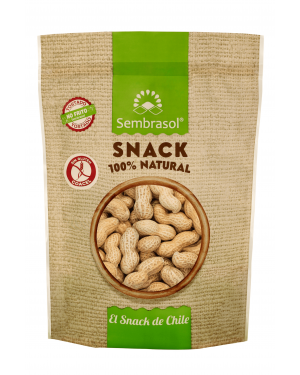 MANI CASCARA CHILENO 500 GRS